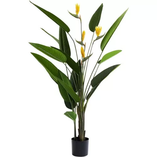 Διακοσμητικό Φυτό Λουλούδι Paradise Πράσινο-Κίτρινο 190 εκ.