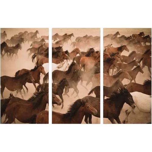 Πίνακας Γυάλινος Άγρια Άλογα II Τρίπτυχος