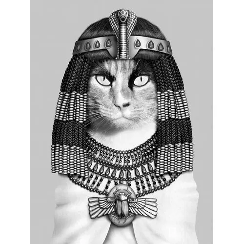 Πίνακας Γυάλινος Αιγυπτιακή Γάτα Ασπρόμαυρη