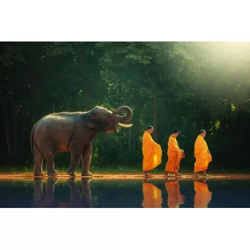 Πίνακας Γυάλινος Η Πεζοπορία Των Μοναχών Με Έναν Ελέφαντα
