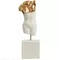 Επιτραπέζιο Γλυπτό Female Torso M Χρυσό/Λευκό