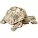 Διακοσμητικό Χελώνα Χρυσό Small (PL)