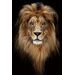Πίνακας Γυάλινος Το Πορτραίτο Του Βασιλιά Των Λιονταριών